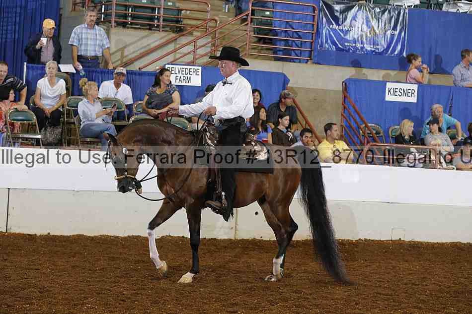 Proof 13r12_8770