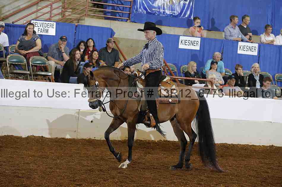 Proof 13r12_8773