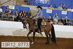13r12_8773 proof