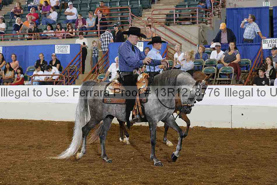 Proof 13r12_8776