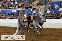 13r12_8776 proof