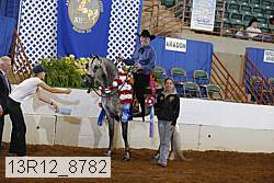 13r12_8782 proof