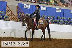 13r12_8786 proof