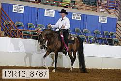 13r12_8787 proof