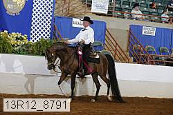 13r12_8791 proof