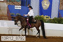 13r12_8792 proof