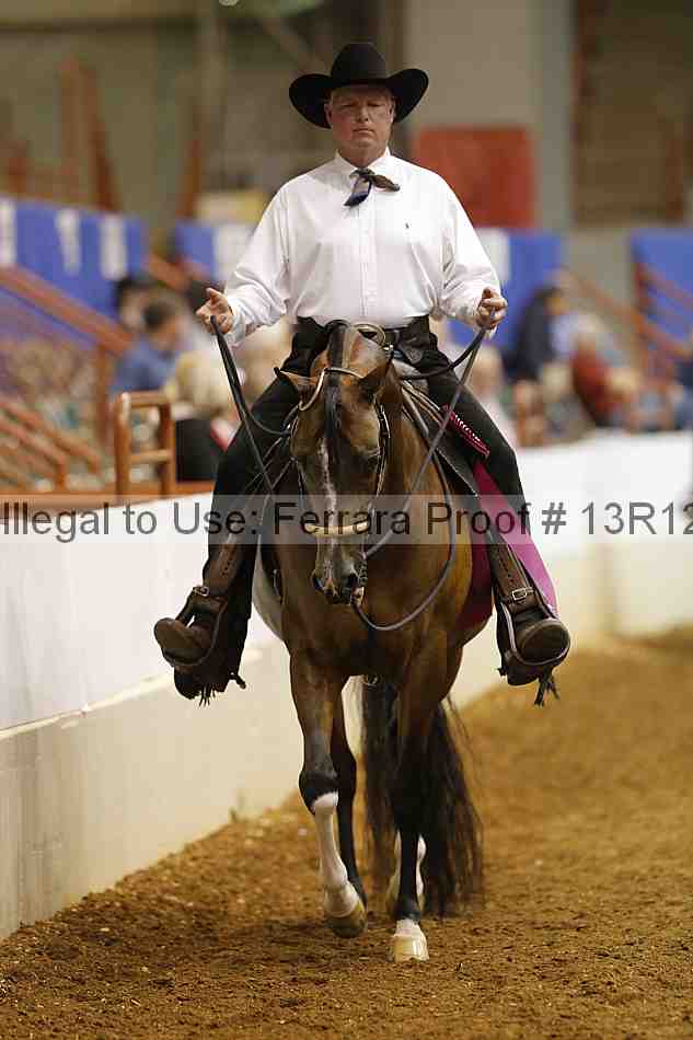 Proof 13r12_8794