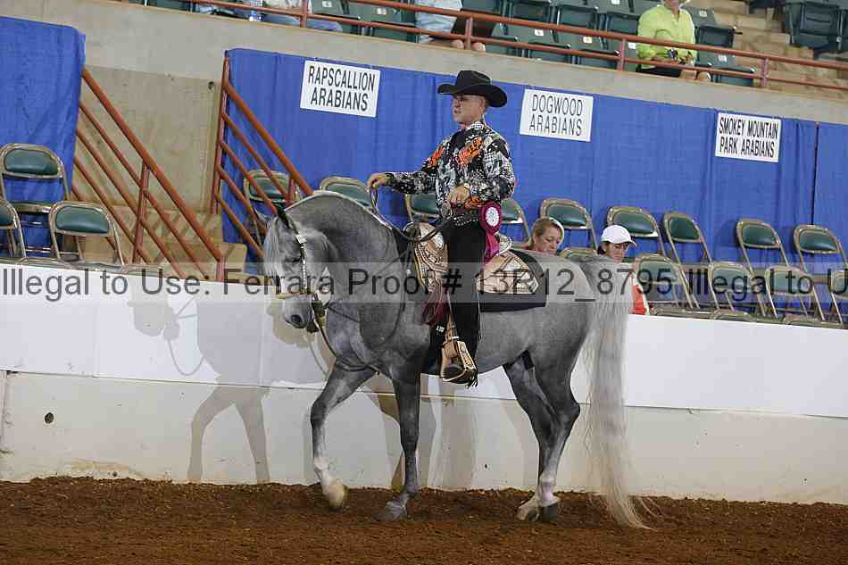 Proof 13r12_8795