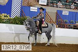 13r12_8796 proof