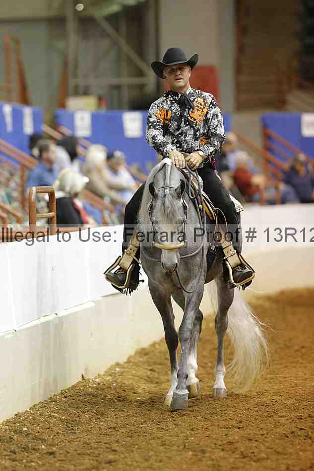 Proof 13r12_8798
