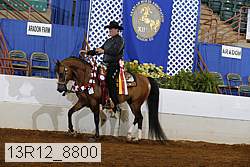 13r12_8800 proof