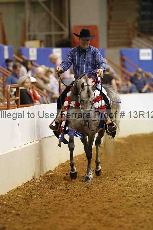 Proof 13r12_8804