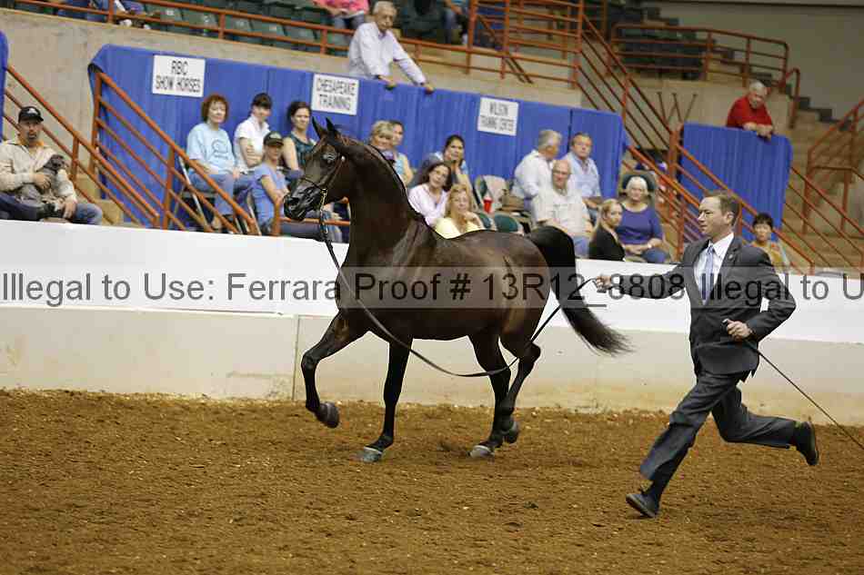 Proof 13r12_8808