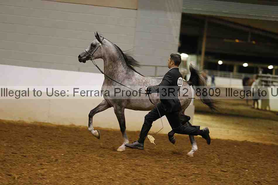 Proof 13r12_8809