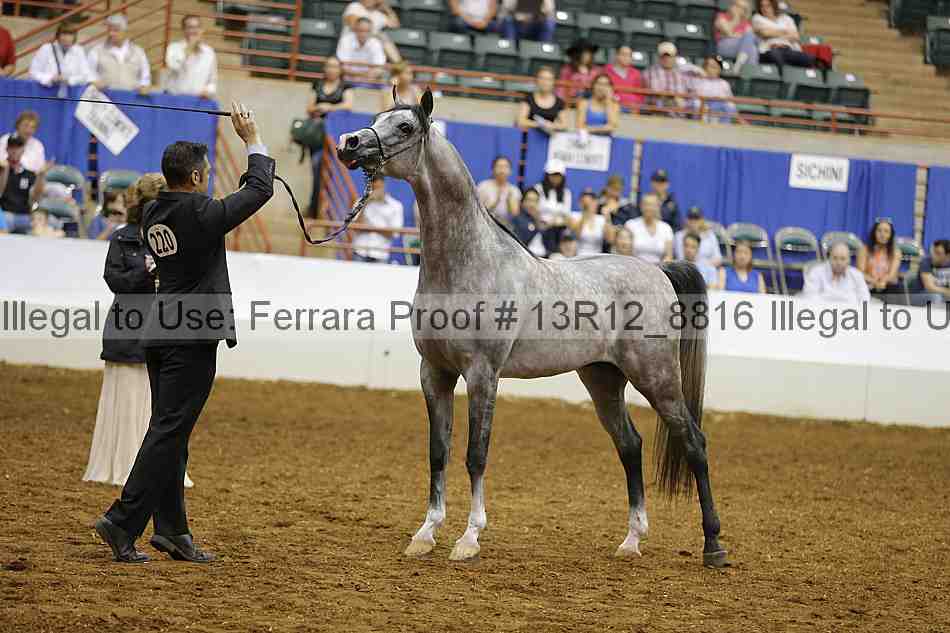 Proof 13r12_8816
