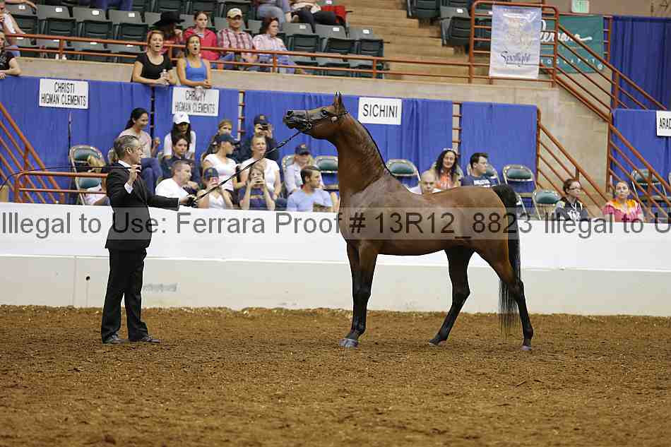 Proof 13r12_8823