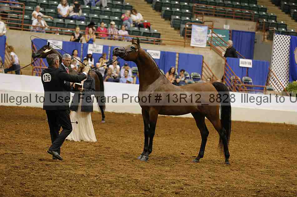 Proof 13r12_8828