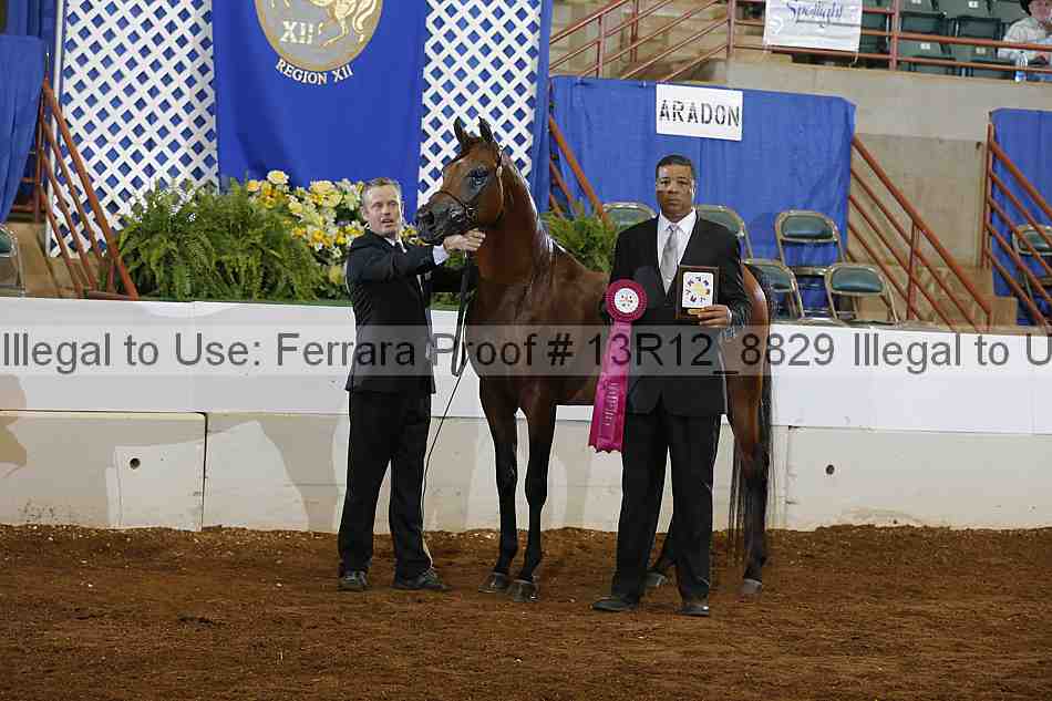 Proof 13r12_8829