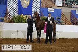 13r12_8830 proof