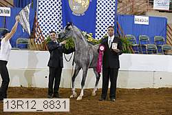 13r12_8831 proof