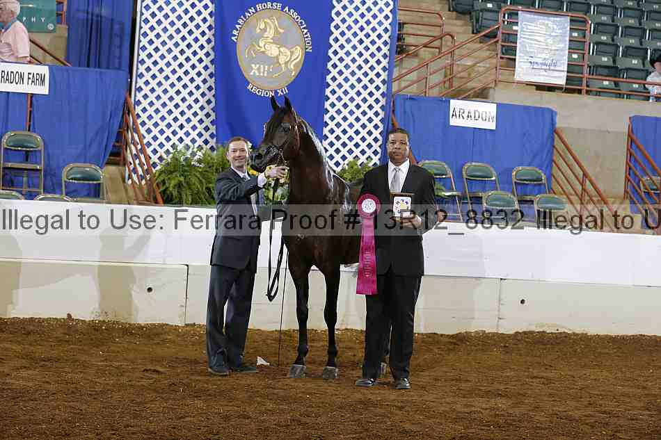 Proof 13r12_8832