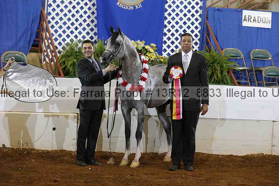 Proof 13r12_8833