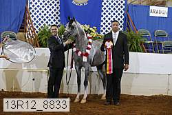 13r12_8833 proof