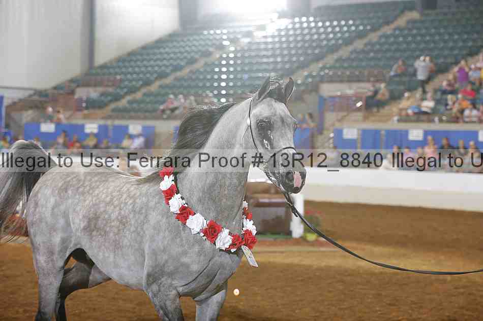 Proof 13r12_8840