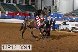 13r12_8841 proof