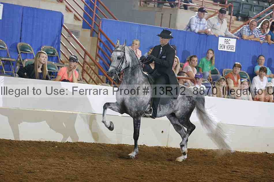 Proof 13r12_8870