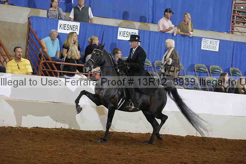 Proof 13r12_8939