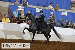 13r12_8939 proof