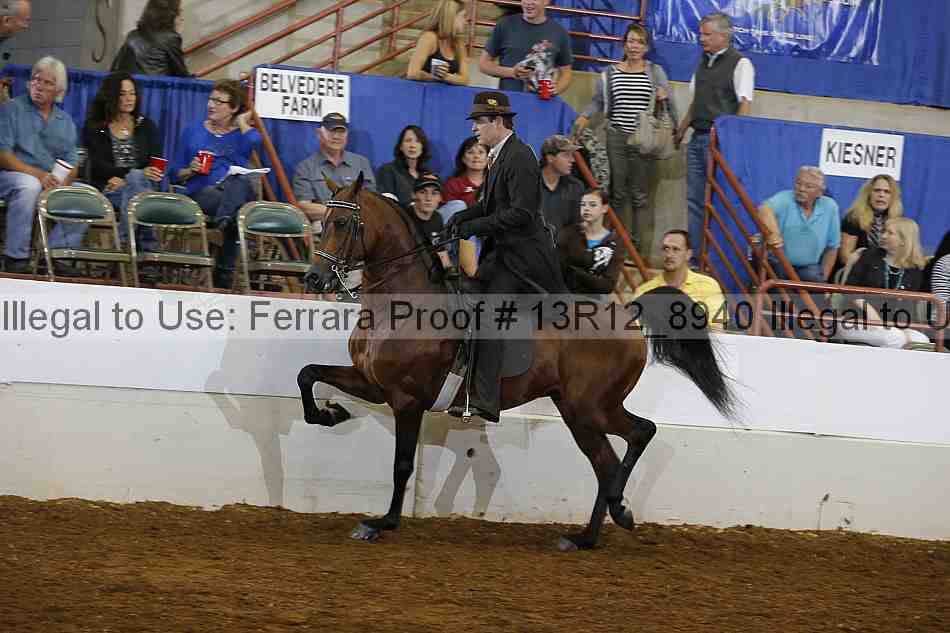 Proof 13r12_8940