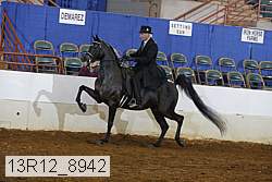 13r12_8942 proof