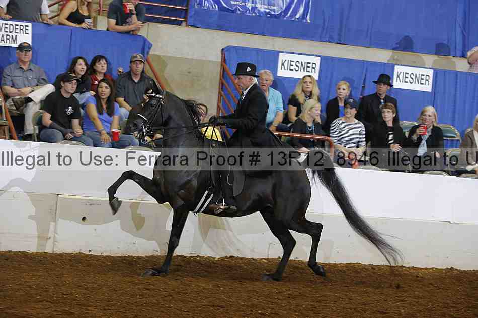 Proof 13r12_8946