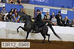 13r12_8946 proof