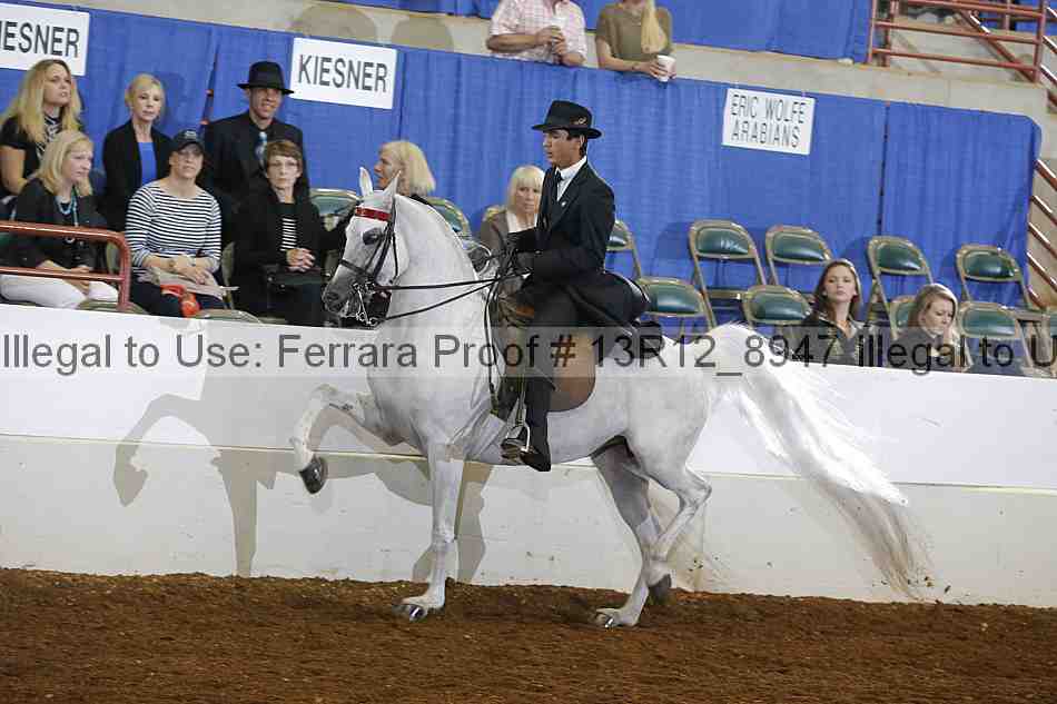 Proof 13r12_8947