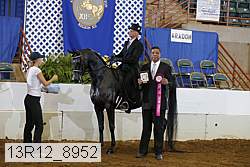 13r12_8952 proof