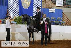13r12_8953 proof