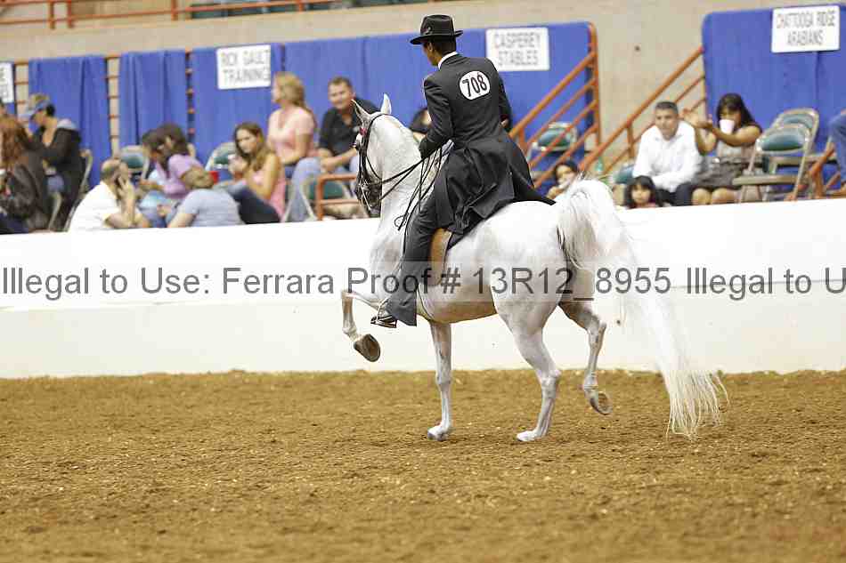 Proof 13r12_8955