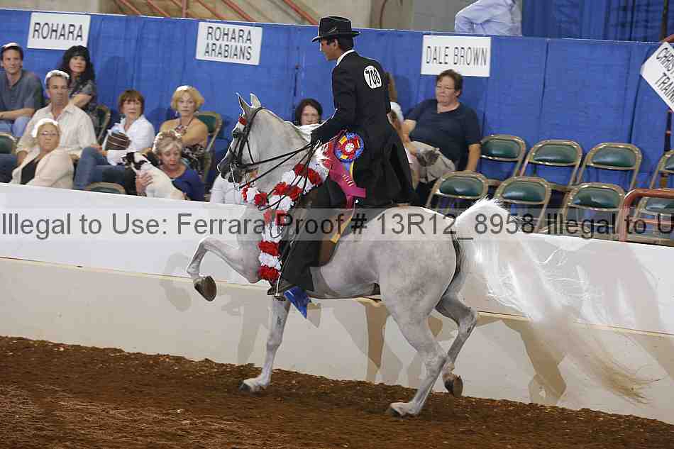 Proof 13r12_8958
