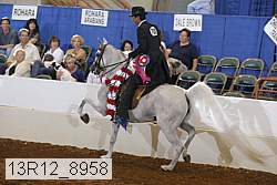 13r12_8958 proof
