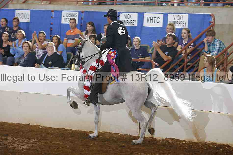 Proof 13r12_8959