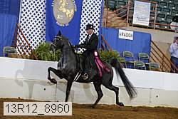 13r12_8960 proof