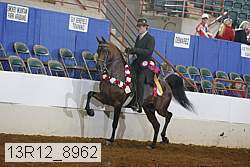 13r12_8962 proof