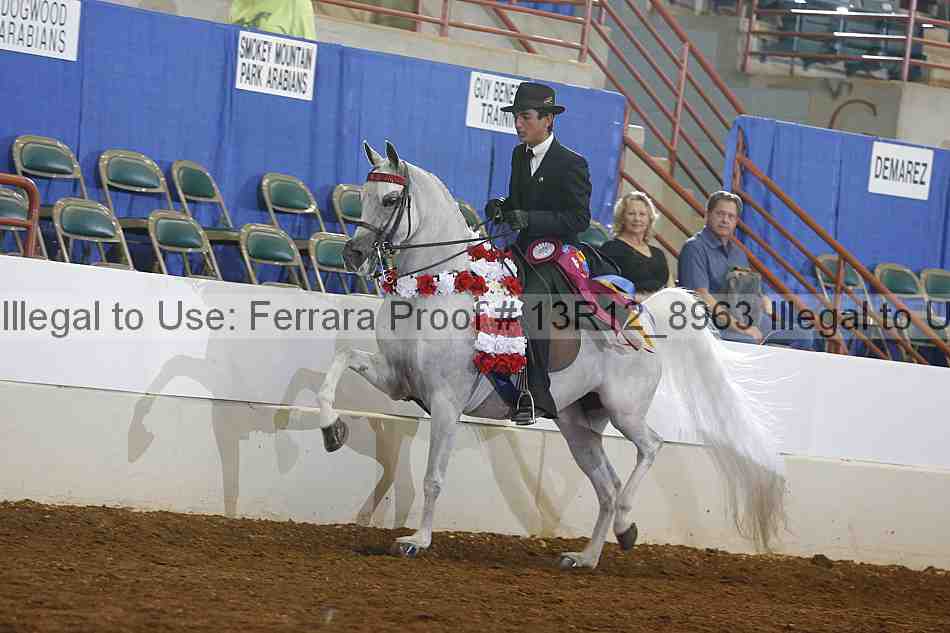 Proof 13r12_8963