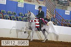 13r12_8963 proof