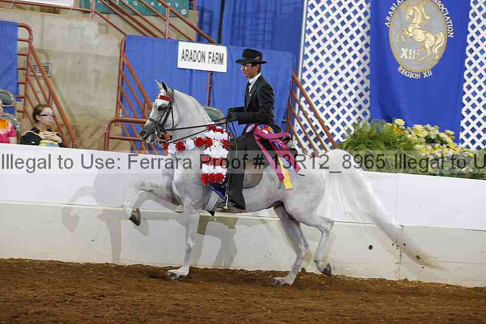 Proof 13r12_8965