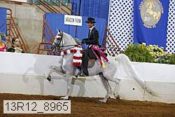 13r12_8965 proof
