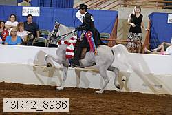 13r12_8966 proof